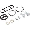 Fuel Tap Repair Kit
