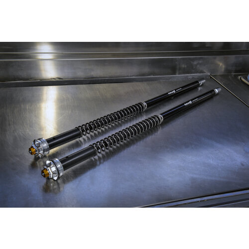 Andreani Misano Evo Ducati MONSTER 796 10-14 (Fourche Marzocchi 43)