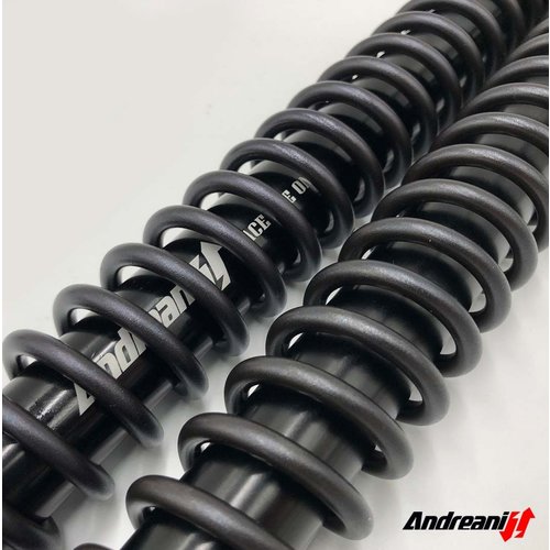 Andreani Misano Rallyrace Ducati Scrambler Desert Sled 2017> Kayab