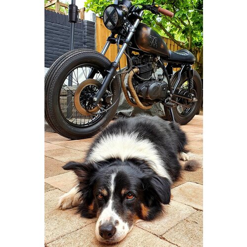 MCU Enveloppe d'échappement 10M / Enveloppe d'échappement / Sable d'enveloppe thermique