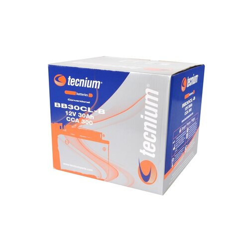 Tecnium BB30CL-B Bleibatterie mit Säurepack