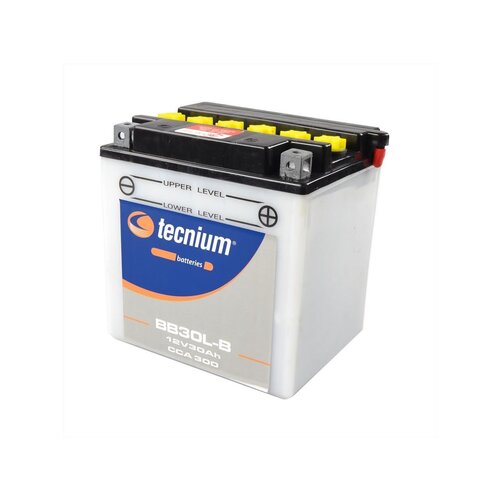 Tecnium BB30L-B Bleibatterie mit Säurepack