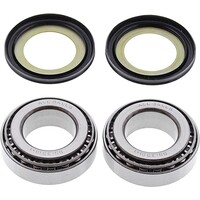 Steering Bearing Kit Model 22-1069