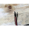 thubmnail