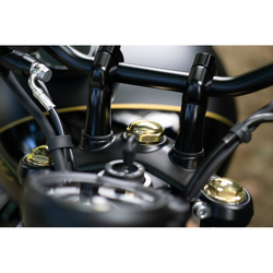 "The Boss" Top Yoke / Steering Stem Brass Nut | LC