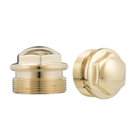 The Guvnors | Fork Top Caps Pair | Early | Brass