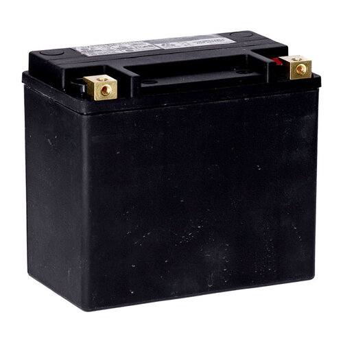 Standaard Serie-Agm Afgedichte Batterij | 12V | 22 Ah | 325 Cc