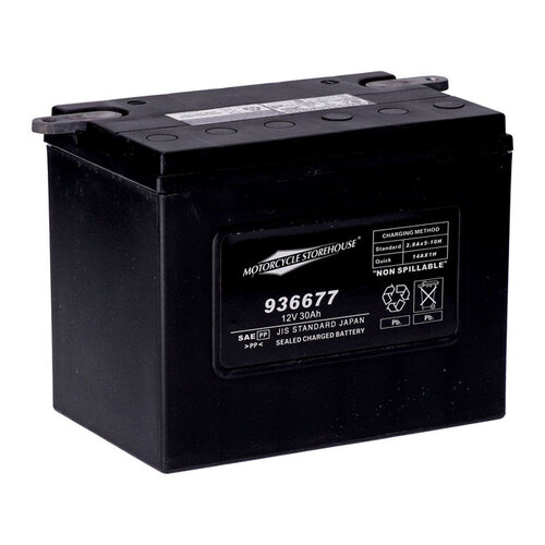 Standard-Serie – Agm-Versiegelte Batterie | 12 V | 30 Ah | 370 Cca