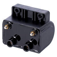 Late' Oem-Stijl Bobine | 12V | 5 Ohm | Zwart