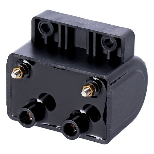 Späte Oem-Zündspule | 12 V | 5 Ohm | Schwarz