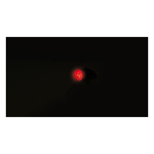 Proton3 Led3 In1 Clignotant Combo Ece Appr |