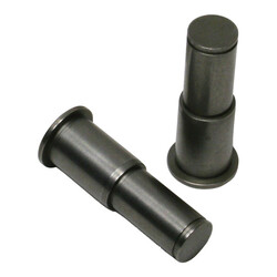 Cam Plate Chain Tensioner Pins