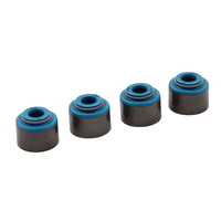 Viton Valve Seal Kit