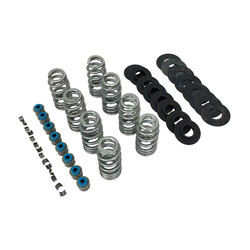Endurance Beehive Valve Spring Kit| 565in Lift Re|Us