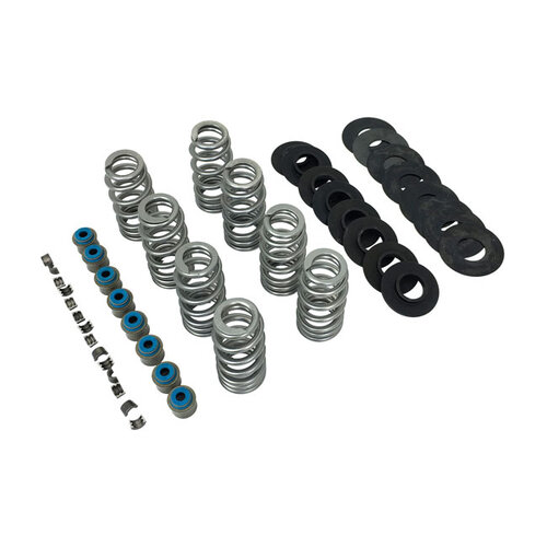 Endurance Beehive Valve Spring Kit| 565in Lift Re|Us