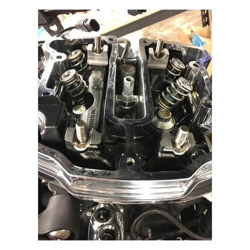 Kit De Ressorts De Valve De Ruche Endurance| Élévateur De 0,565 Pouce RE-US