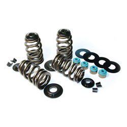 Econo Beehive Valve Spring Kit | .585In Lift | Choose Model