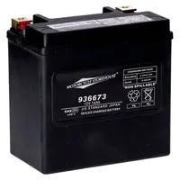 Standaardserie - AGM sealed accu 12V | 14Ah | 240 CCA