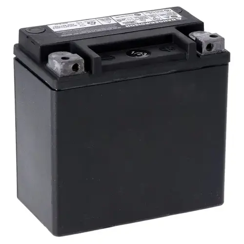 Advance Series - AGM sealed accu 12v | 12ah | 220 CCA
