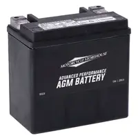 Advance Series - AGM sealed accu 12v | 12ah | 220CCA