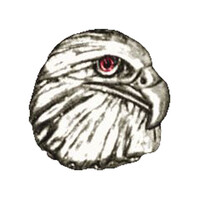 Biker pins Eagle head pin