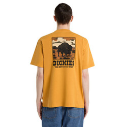 Darrtown T-shirt Sunflower