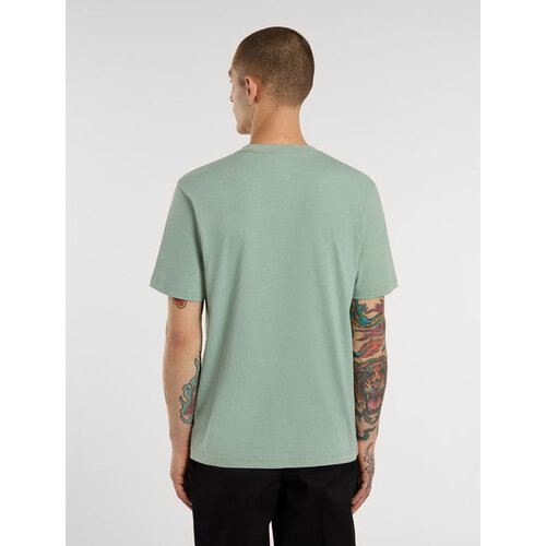 Dickies Icon Logo T-Shirt Eisberggrün