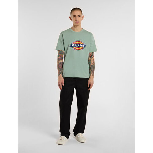 Dickies Icon Logo T-shirt Iceberg Green