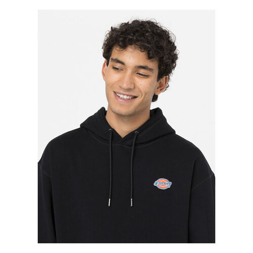 Dickies Millersburg Hoodie Schwarz