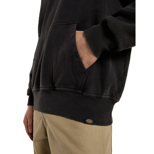Dickies Plentywood Hoodie Schwarz