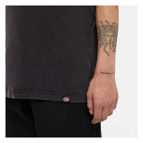 Dickies T-shirt Plentywood noir délavé à l'acide