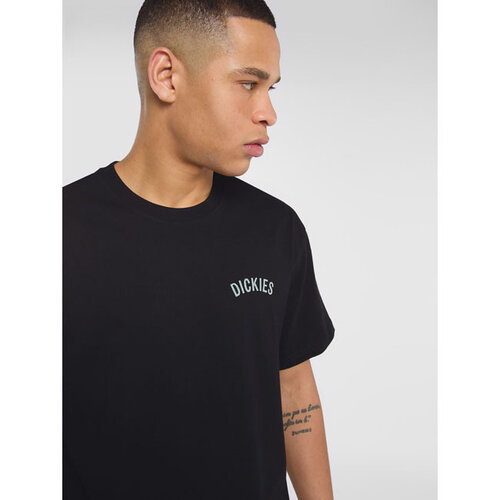 Dickies T-shirt noir à motif serpent