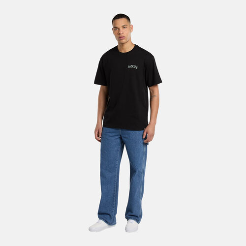 Dickies Snake T-shirt Black