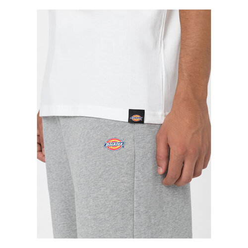 Dickies Lot de t-shirts blanc foncé