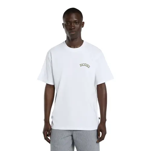 Dickies Bettsville T-shirt White