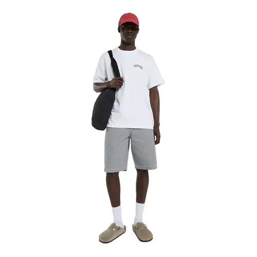 Dickies Bettsville T-shirt wit