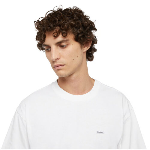 Dickies Clancy Heavyweight T-shirt wit