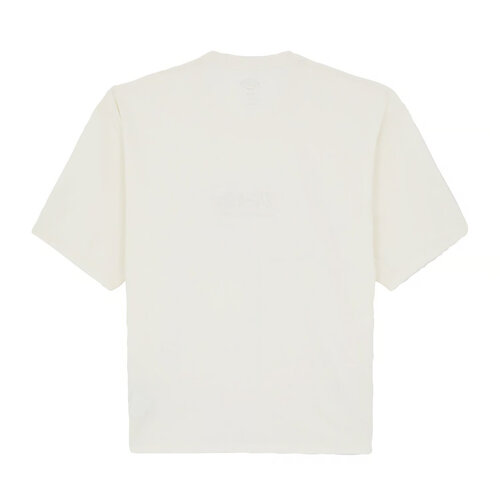 Dickies T-shirt Lewistown Embro Egret