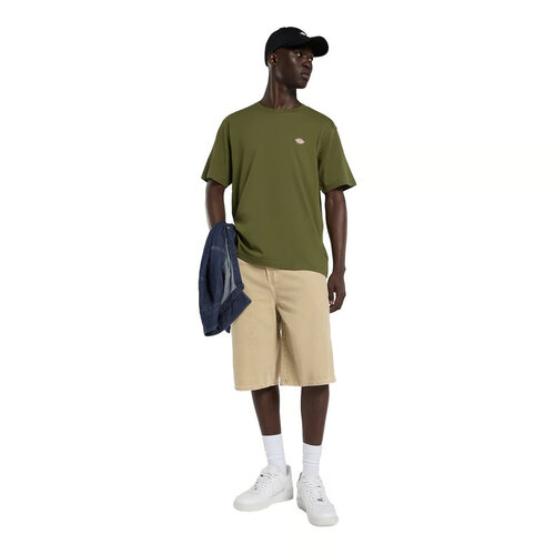 Dickies Mapleton T-Shirt Cypress