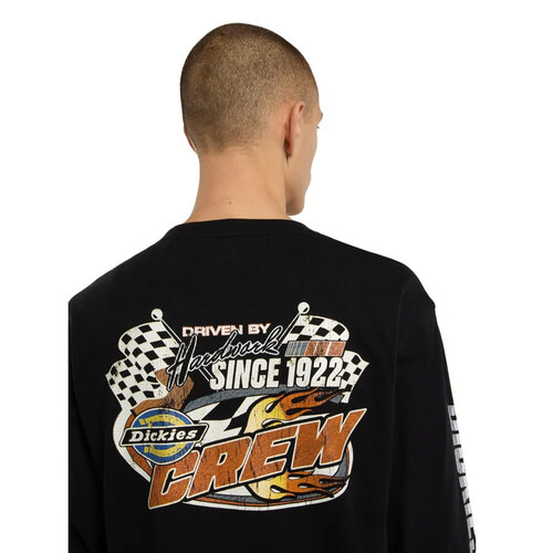Dickies Nashport shirt met lange mouwen, zwart