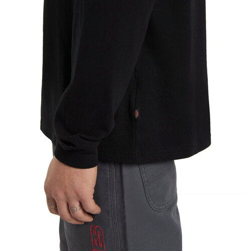 Dickies Nashport shirt met lange mouwen, zwart