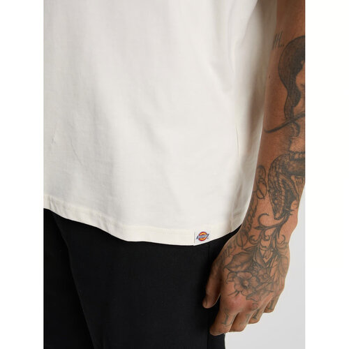 Dickies T-shirt beige Sneedville