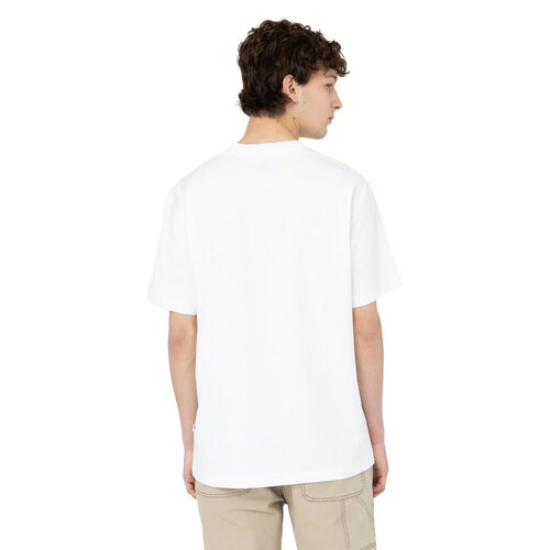 Dickies T-shirt Summerdale blanc