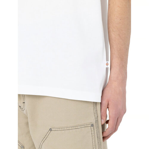 Dickies T-shirt Summerdale blanc