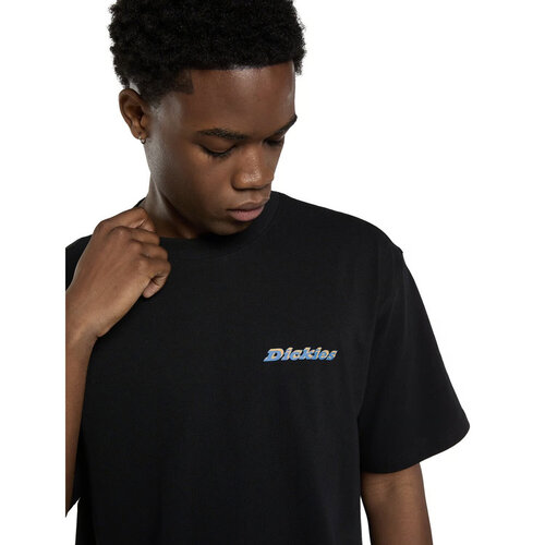 Dickies Thornville T-Shirt Schwarz