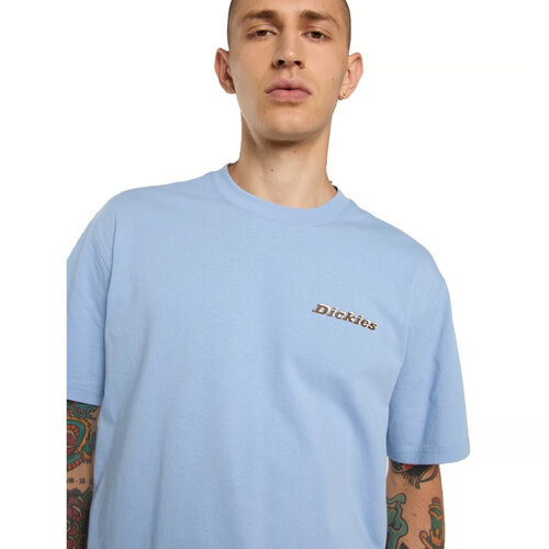 Dickies Thornville T-Shirt Endloser Himmel