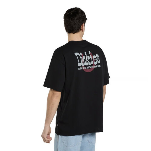 Dickies Vernal T-shirt Zwart