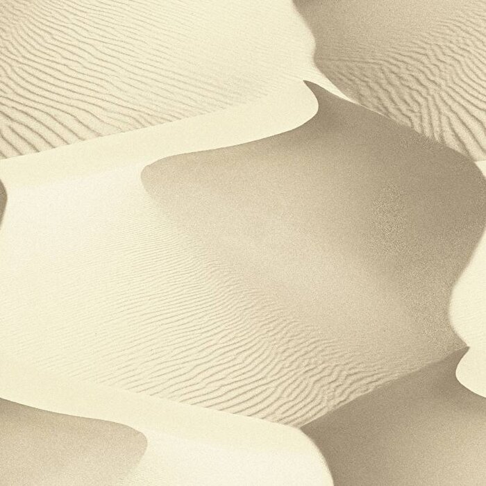 Dutch Faux Semblant behang L140-07