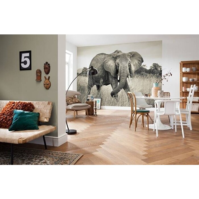 Komar    Fotobehang vlies 4-529  Elephant