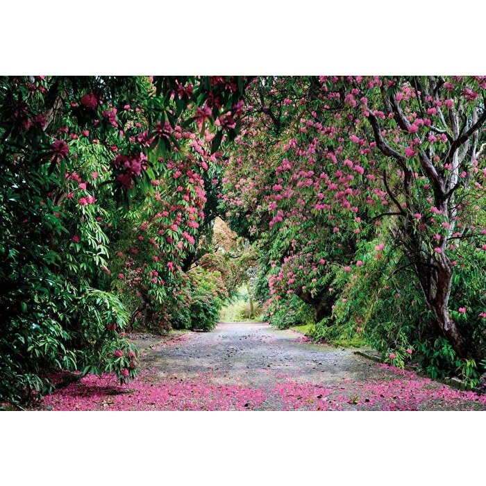 Komar Fotobehang  8-985 Wicklow Park